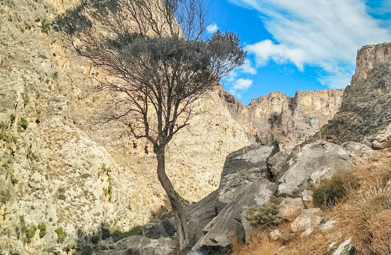Villa Palma سيتيا المظهر الخارجي الصورة