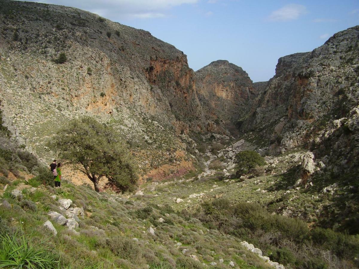 Villa Palma سيتيا المظهر الخارجي الصورة