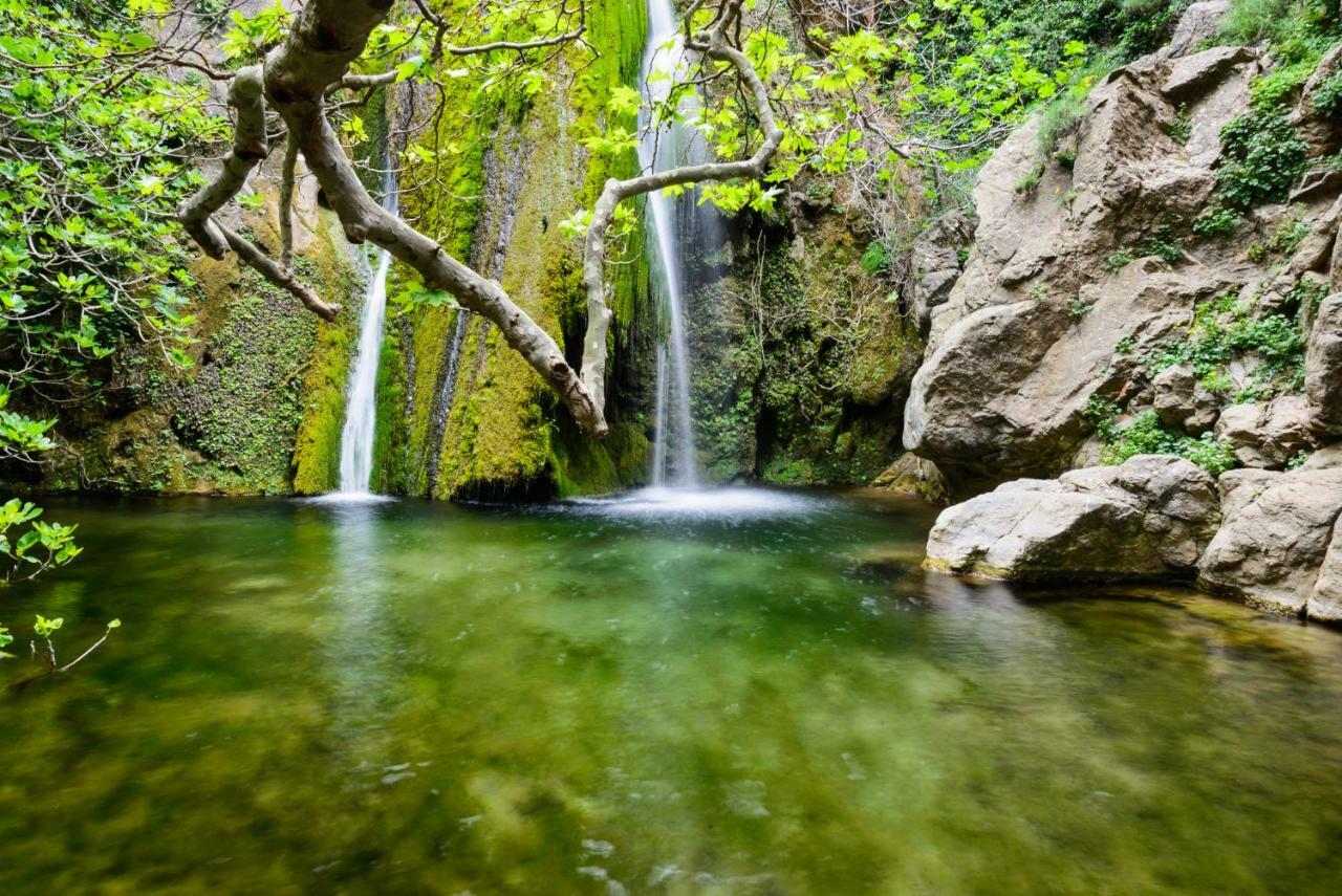 Villa Palma سيتيا المظهر الخارجي الصورة